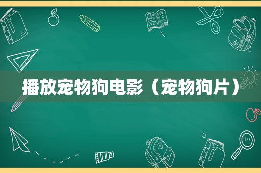 播放宠物狗电影（宠物狗片）