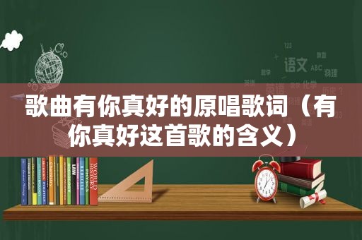 歌曲有你真好的原唱歌词（有你真好这首歌的含义）