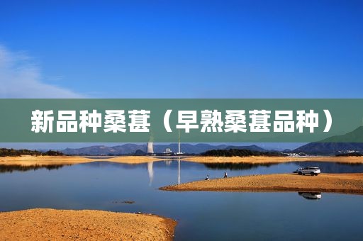 新品种桑葚（早熟桑葚品种）