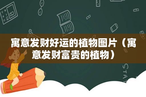 寓意发财好运的植物图片（寓意发财富贵的植物）