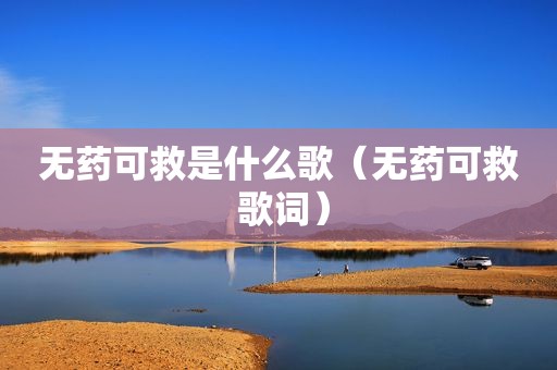 无药可救是什么歌（无药可救 歌词）