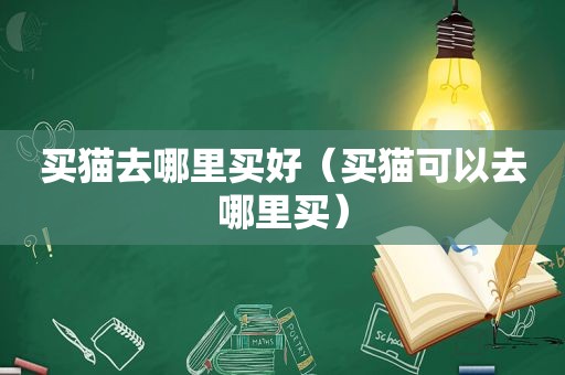 买猫去哪里买好（买猫可以去哪里买）