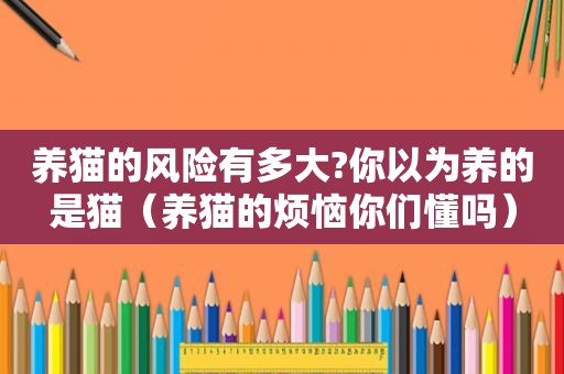 养猫的风险有多大?你以为养的是猫（养猫的烦恼你们懂吗）