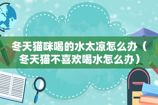 冬天猫咪喝的水太凉怎么办（冬天猫不喜欢喝水怎么办）