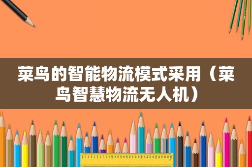 菜鸟的智能物流模式采用（菜鸟智慧物流无人机）