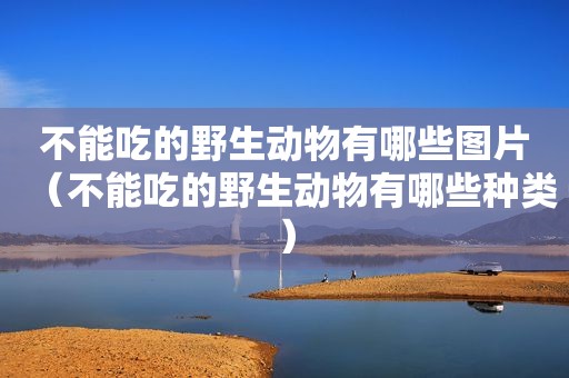 不能吃的野生动物有哪些图片（不能吃的野生动物有哪些种类）