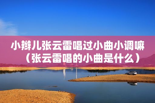 小辫儿张云雷唱过小曲小调嘛（张云雷唱的小曲是什么）
