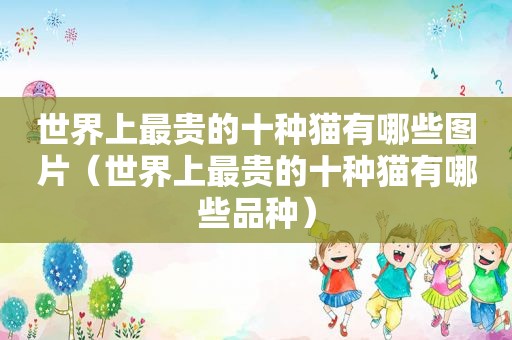 世界上最贵的十种猫有哪些图片（世界上最贵的十种猫有哪些品种）