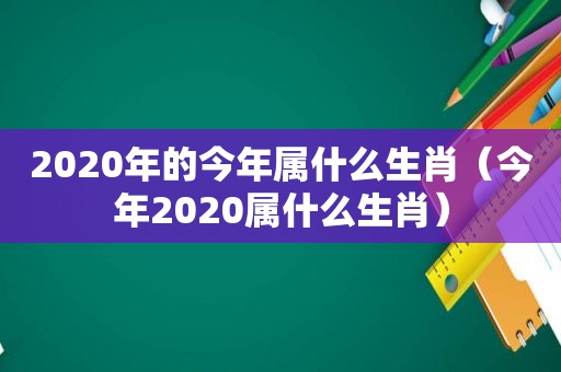 2020年的今年属什么生肖（今年2020属什么生肖）