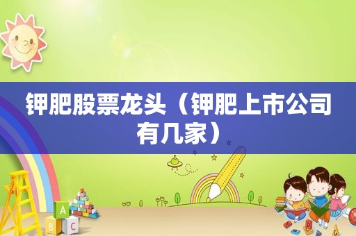 钾肥股票龙头（钾肥上市公司有几家）
