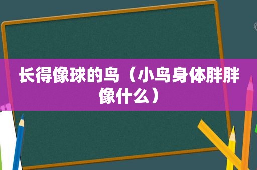 长得像球的鸟（小鸟身体胖胖像什么）