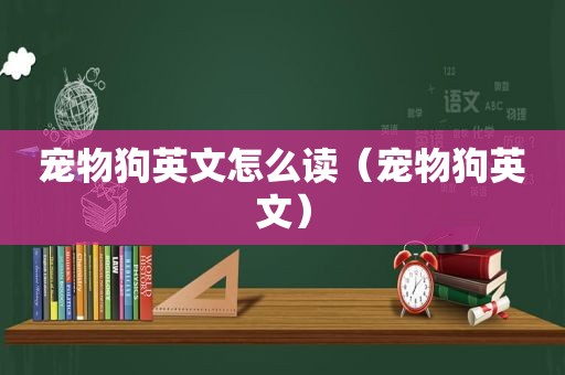 宠物狗英文怎么读（宠物狗英文）