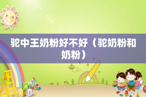 驼中王奶粉好不好（驼奶粉和奶粉）