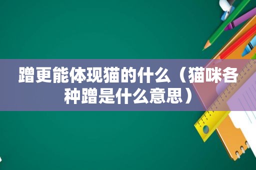 蹭更能体现猫的什么（猫咪各种蹭是什么意思）