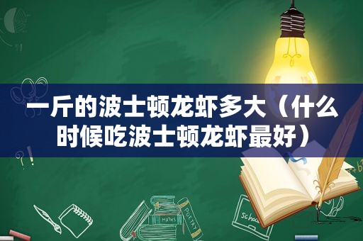 一斤的波士顿龙虾多大（什么时候吃波士顿龙虾最好）