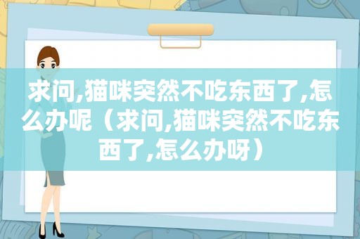 求问,猫咪突然不吃东西了,怎么办呢（求问,猫咪突然不吃东西了,怎么办呀）