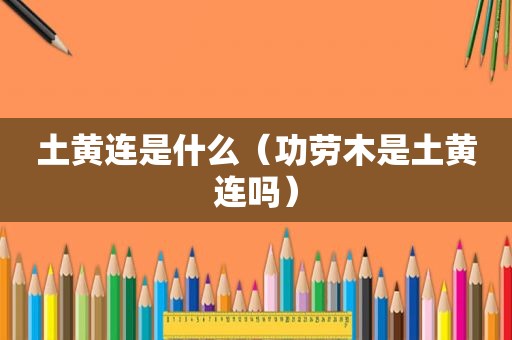 土黄连是什么（功劳木是土黄连吗）