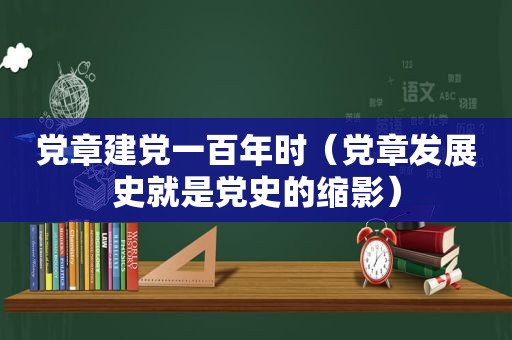  *** 建党一百年时（ *** 发展史就是党史的缩影）