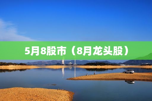 5月8股市（8月龙头股）