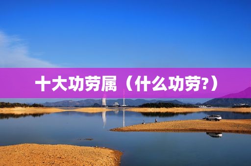 十大功劳属（什么功劳?）