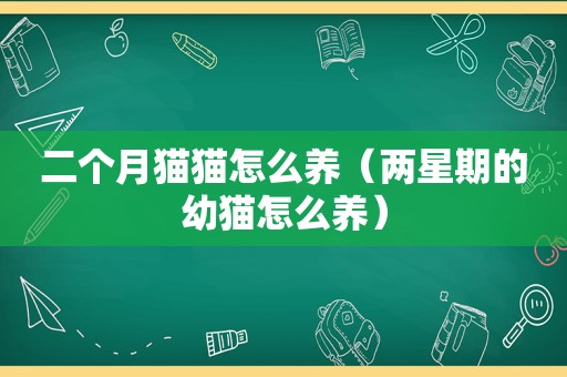 二个月猫猫怎么养（两星期的幼猫怎么养）