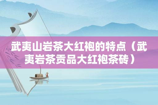 武夷山岩茶大红袍的特点（武夷岩茶贡品大红袍茶砖）