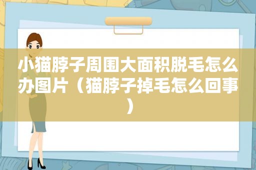 小猫脖子周围大面积脱毛怎么办图片（猫脖子掉毛怎么回事）