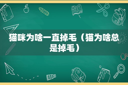 猫咪为啥一直掉毛（猫为啥总是掉毛）
