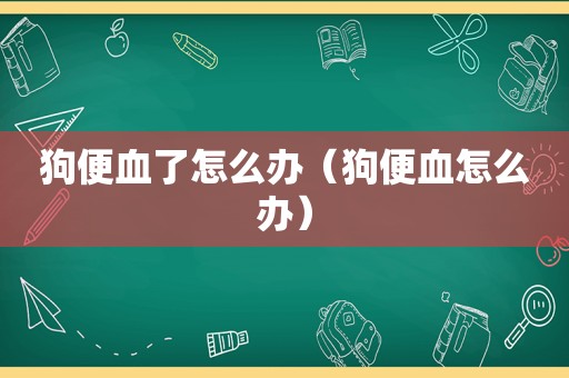 狗便血了怎么办（狗便血怎么办）