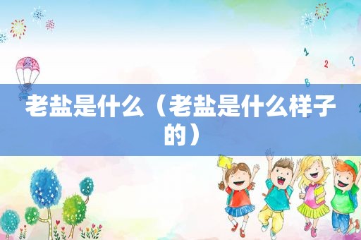 老盐是什么（老盐是什么样子的）