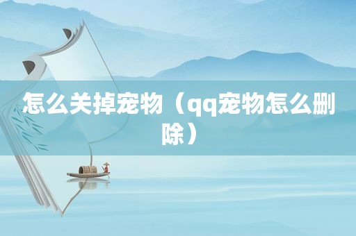 怎么关掉宠物（qq宠物怎么删除）