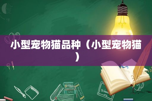 小型宠物猫品种（小型宠物猫）