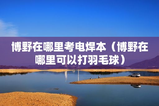 博野在哪里考电焊本（博野在哪里可以打羽毛球）