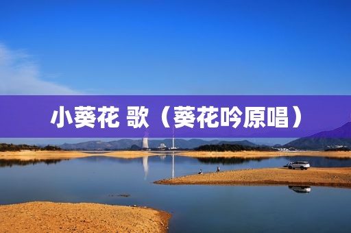 小葵花 歌（葵花吟原唱）