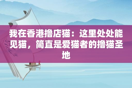 我在香港撸店猫：这里处处能见猫，简直是爱猫者的撸猫圣地