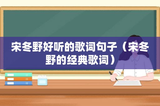 宋冬野好听的歌词句子（宋冬野的经典歌词）