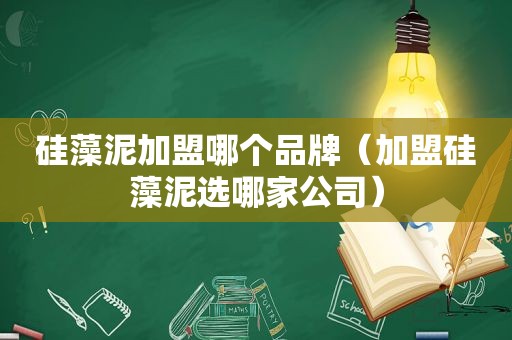 硅藻泥加盟哪个品牌（加盟硅藻泥选哪家公司）