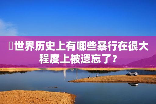 ​世界历史上有哪些暴行在很大程度上被遗忘了？