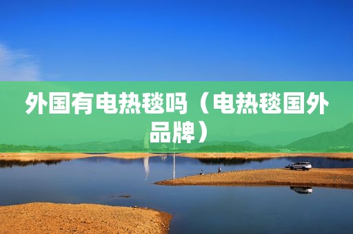 外国有电热毯吗（电热毯国外品牌）