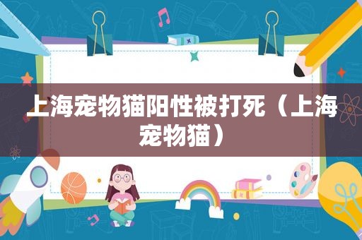 上海宠物猫阳性被打死（上海宠物猫）