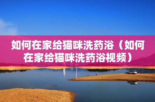 如何在家给猫咪洗药浴（如何在家给猫咪洗药浴视频）