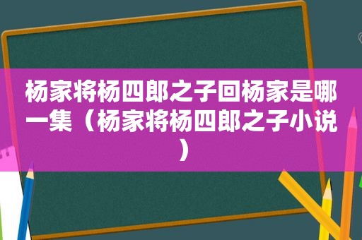 杨家将杨四郎之子回杨家是哪一集（杨家将杨四郎之子小说）