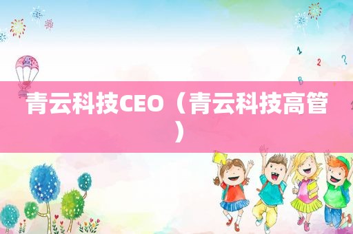 青云科技CEO（青云科技高管）