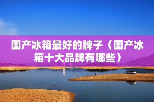 国产冰箱最好的牌子（国产冰箱十大品牌有哪些）