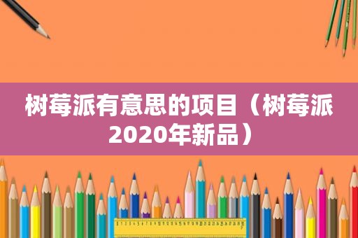树莓派有意思的项目（树莓派2020年新品）