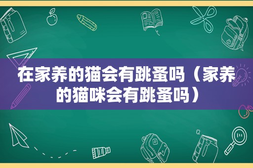 在家养的猫会有跳蚤吗（家养的猫咪会有跳蚤吗）