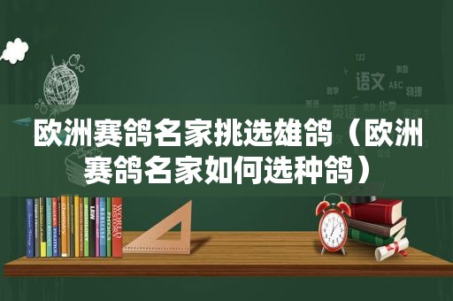 欧洲赛鸽名家挑选雄鸽（欧洲赛鸽名家如何选种鸽）