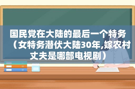  *** 在大陆的最后一个特务（女特务潜伏大陆30年,嫁农村丈夫是哪部电视剧）