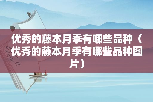 优秀的藤本月季有哪些品种（优秀的藤本月季有哪些品种图片）