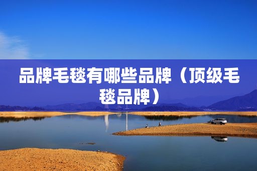 品牌毛毯有哪些品牌（顶级毛毯品牌）